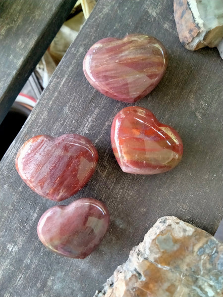 Petrified Woodstone Fossil Crystal Hearts