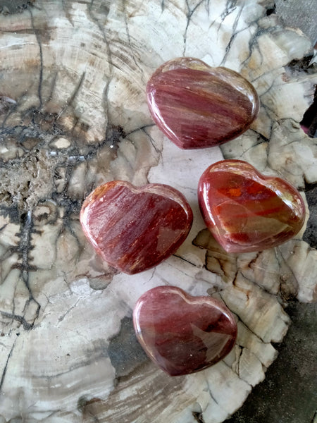 Petrified Woodstone Fossil Crystal Hearts