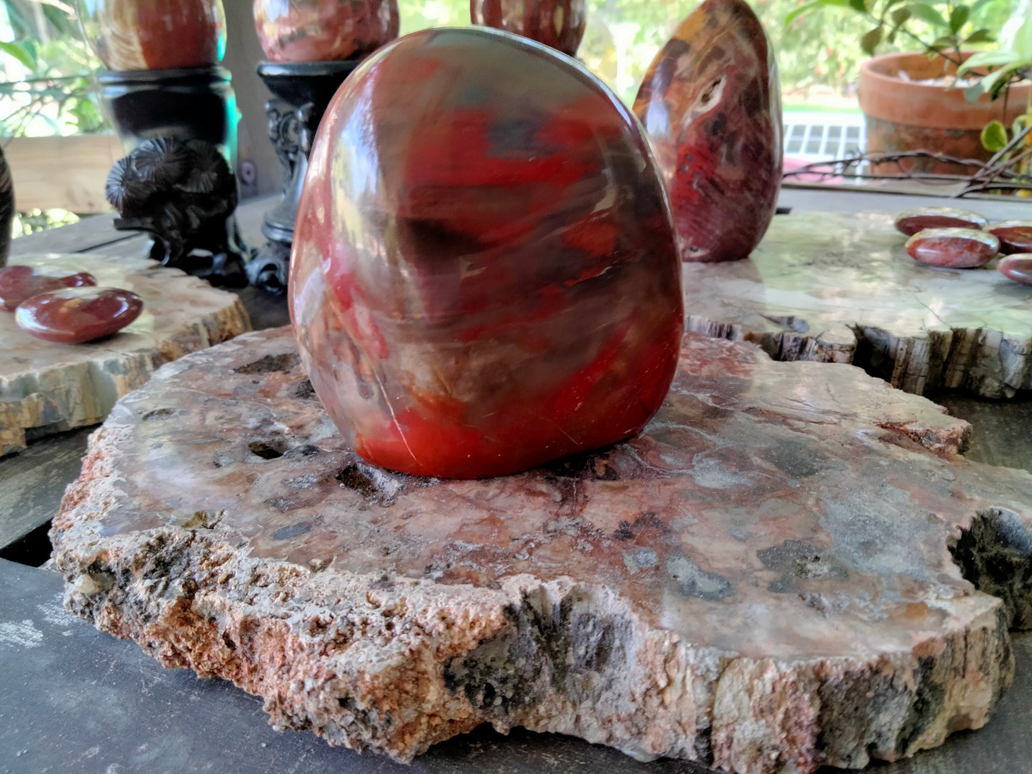 Petrified Woodstone freeform