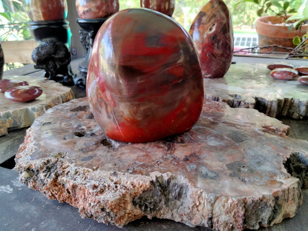 Petrified Woodstone freeform