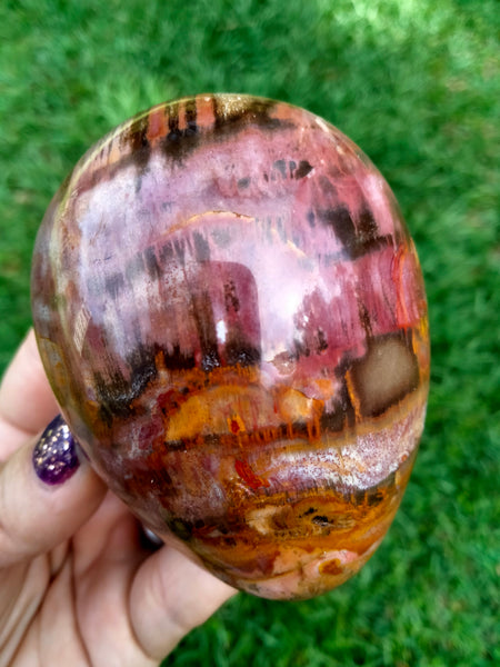 Petrified Woodstone Egg