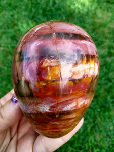 Petrified Woodstone Egg