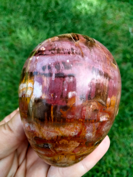 Petrified Woodstone Egg