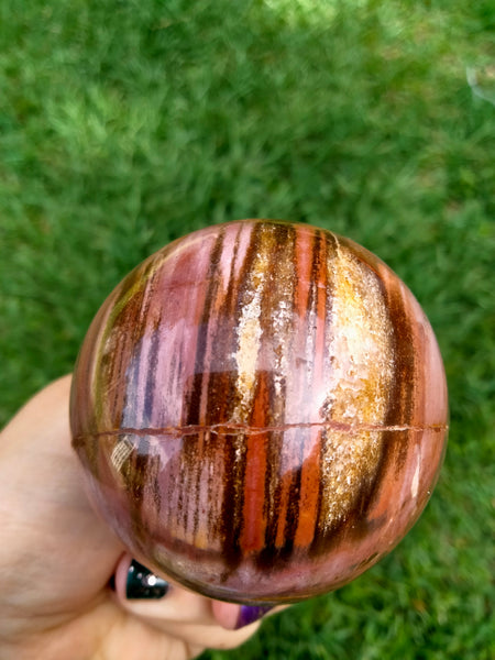 Petrified Woodstone Egg