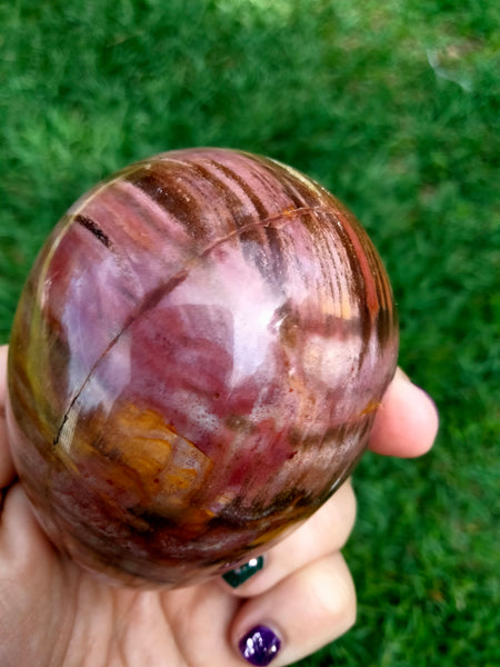 Petrified Woodstone Egg