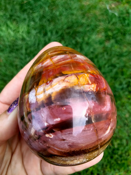 Petrified Woodstone Egg