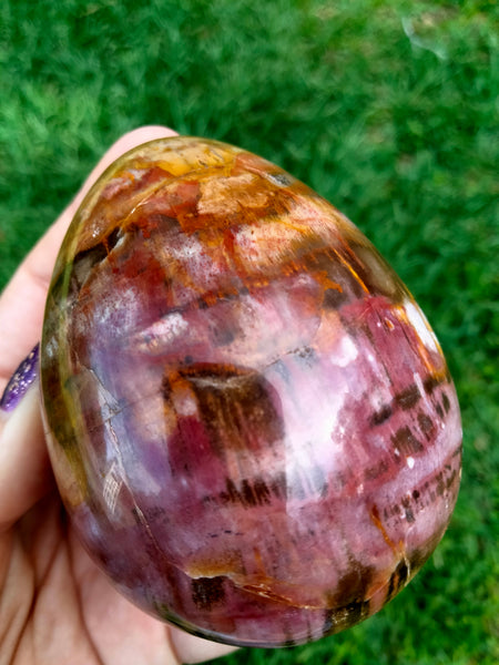 Petrified Woodstone Egg