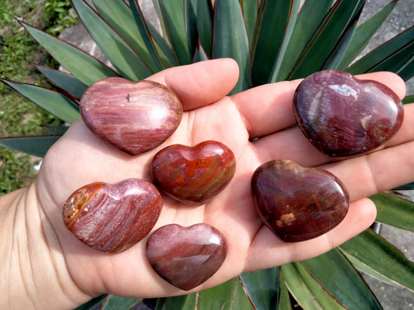 Petrified Woodstone Fossil Crystal Hearts