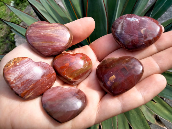 Petrified Woodstone Fossil Crystal Hearts