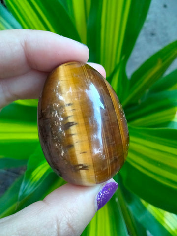 Tiger Eye Crystal Egg