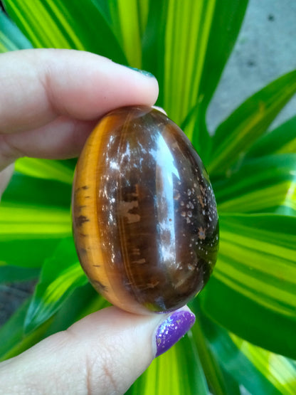 Tiger Eye Crystal Egg
