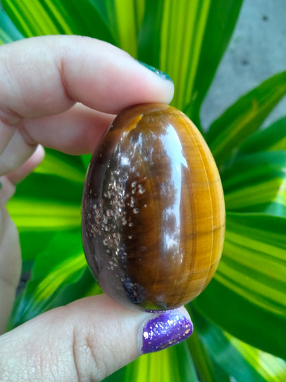 Tiger Eye Crystal Egg