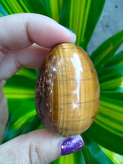 Tiger Eye Crystal Egg