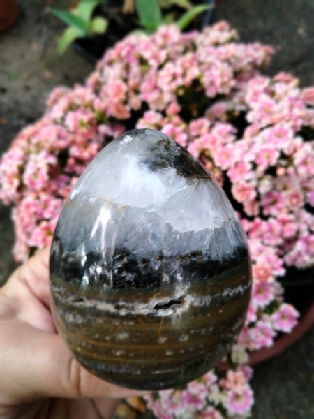 Ocean JASPER with Extraordinary Window Druzy Crystal Egg