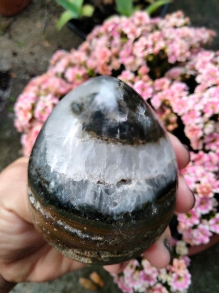 Ocean JASPER with Extraordinary Window Druzy Crystal Egg