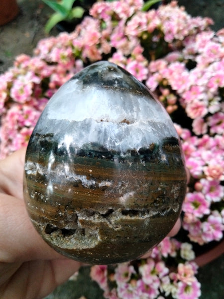 Ocean JASPER with Extraordinary Window Druzy Crystal Egg