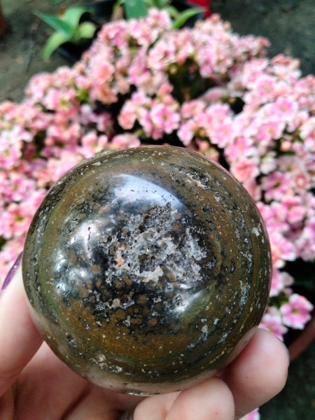 Ocean JASPER with Extraordinary Window Druzy Crystal Egg