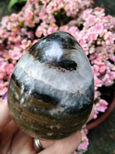 Ocean JASPER with Extraordinary Window Druzy Crystal Egg