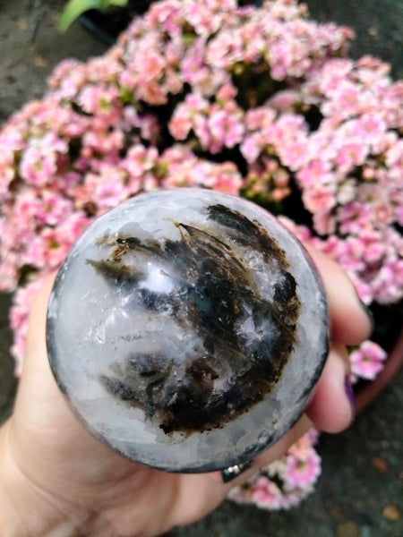 Ocean JASPER with Extraordinary Window Druzy Crystal Egg