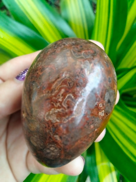 Ocean JASPER crystal EGG