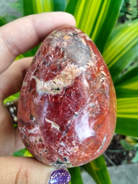 Beautiful Red Ocean Jasper Crystal Egg