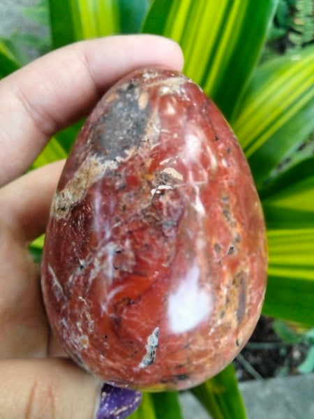 Beautiful Red Ocean Jasper Crystal Egg