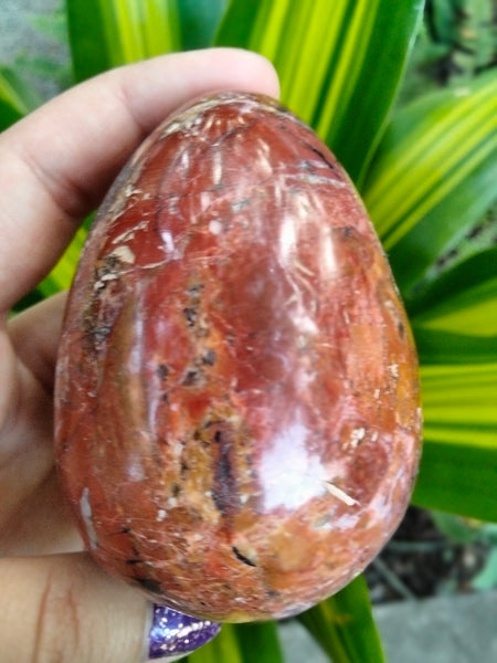 Beautiful Red Ocean Jasper Crystal Egg