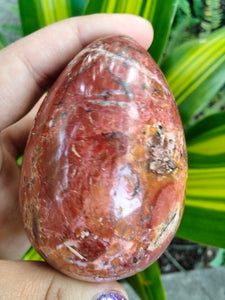 Beautiful Red Ocean Jasper Crystal Egg