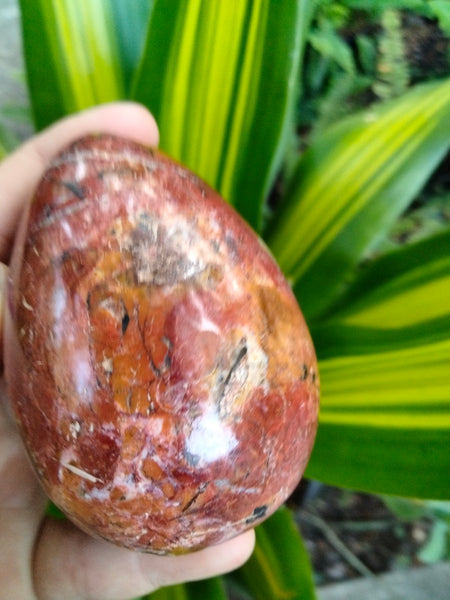 Beautiful Red Ocean Jasper Crystal Egg