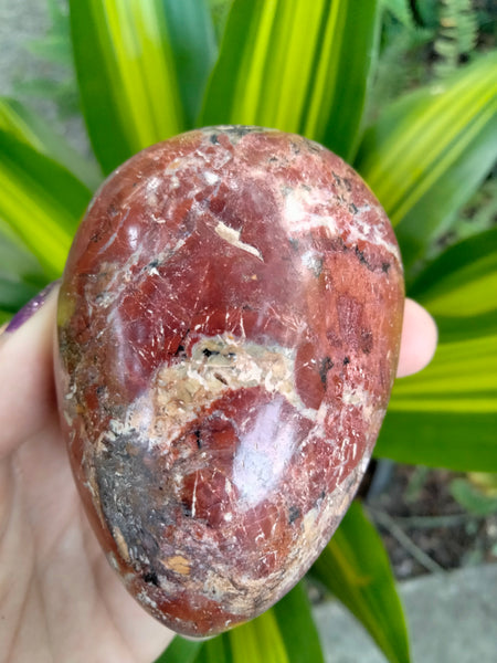 Beautiful Red Ocean Jasper Crystal Egg