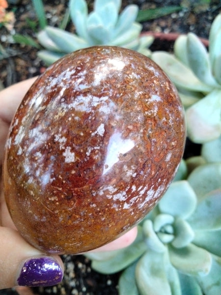 Pastel Blue Trapped inside a Red Ocean Jasper Crystal Egg