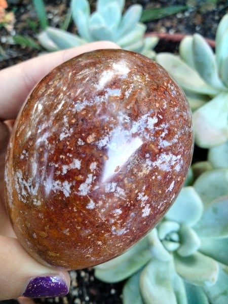 Pastel Blue Trapped inside a Red Ocean Jasper Crystal Egg