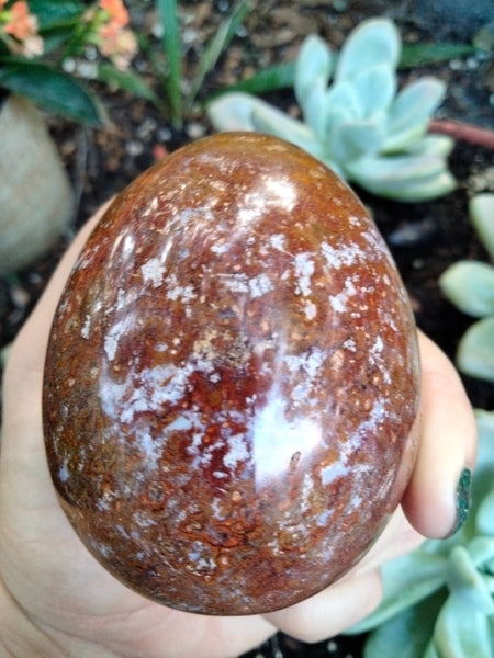 Pastel Blue Trapped inside a Red Ocean Jasper Crystal Egg