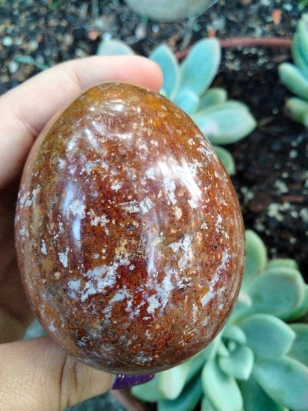 Pastel Blue Trapped inside a Red Ocean Jasper Crystal Egg