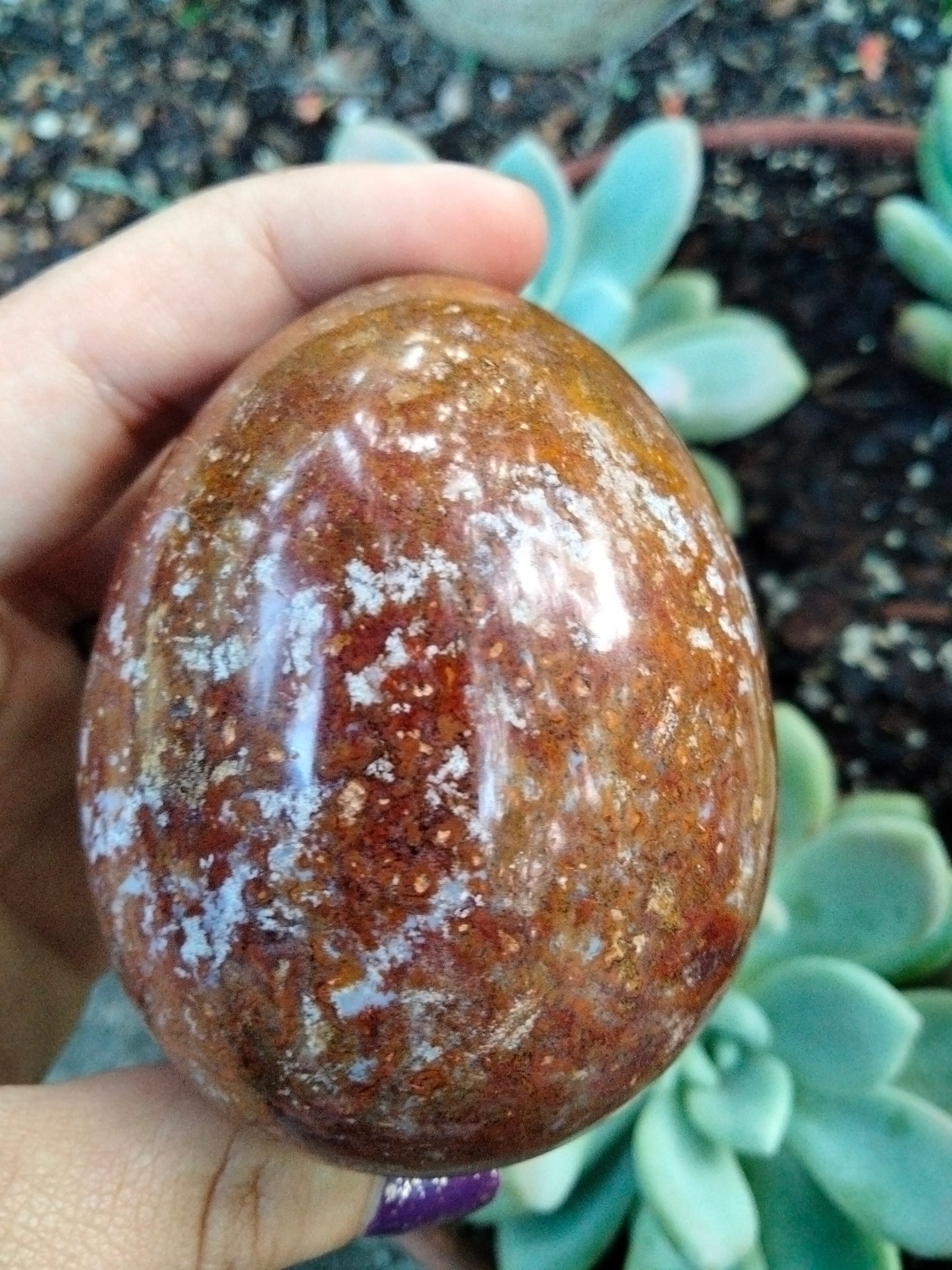 Pastel Blue Trapped inside a Red Ocean Jasper Crystal Egg