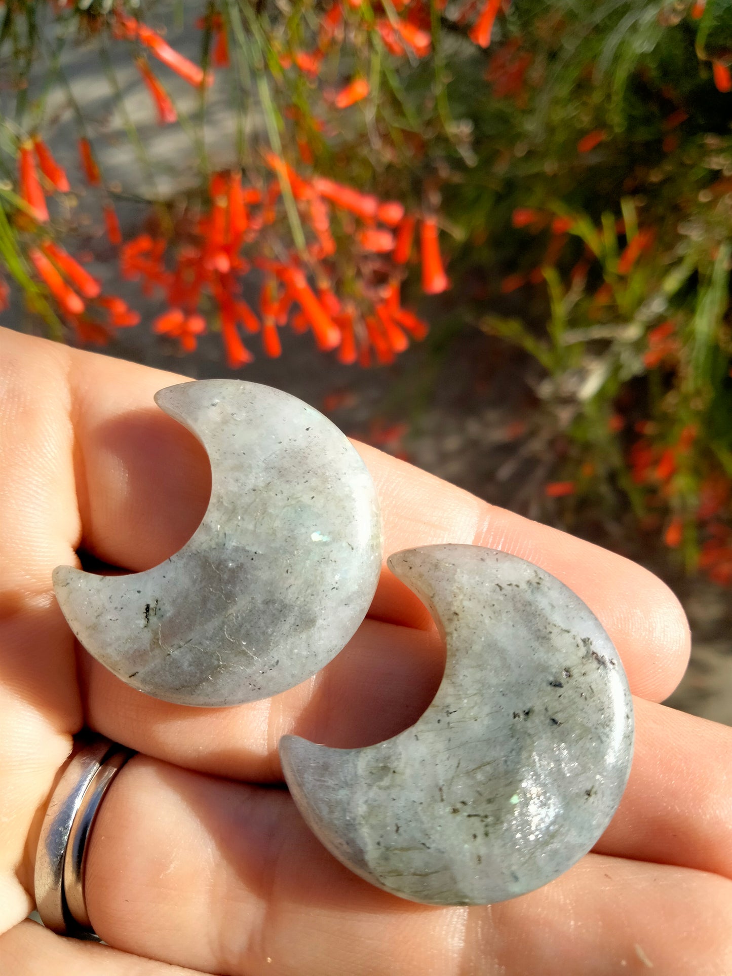 Labradorite Moon