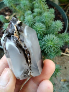 Dendrite infused White Laced Agate