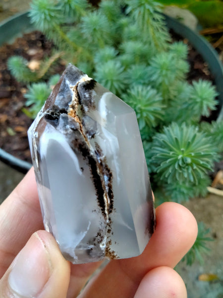 Dendrite infused White Laced Agate