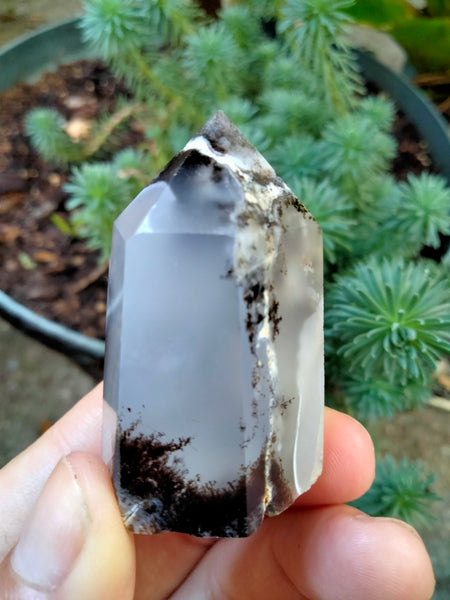 Dendrite infused White Laced Agate