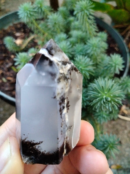 Dendrite infused White Laced Agate