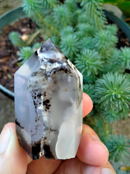 Dendrite infused White Laced Agate