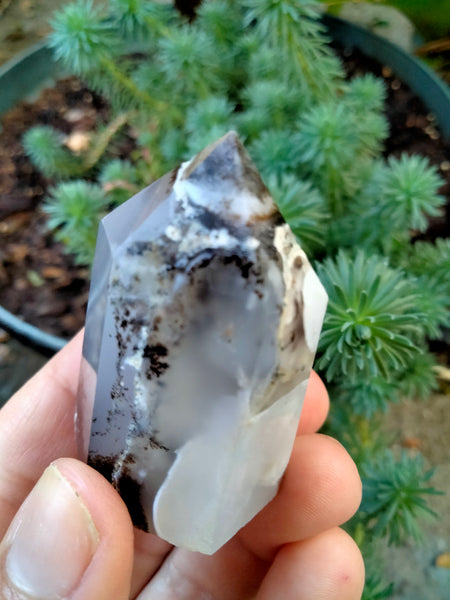 Dendrite infused White Laced Agate