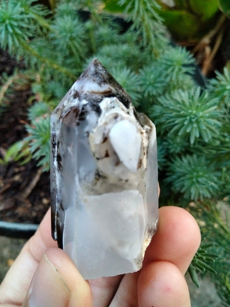 Dendrite infused White Laced Agate