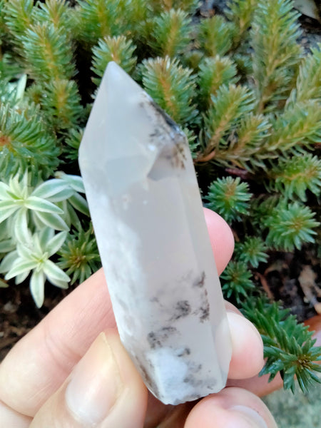 Dendrite infused White Laced Agate