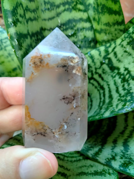 Dendrite infused White Laced Agate