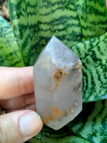 Dendrite infused White Laced Agate