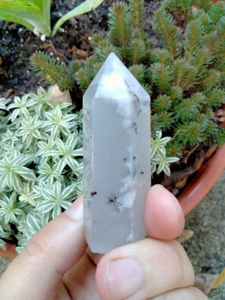 Dendrite infused White Laced Agate