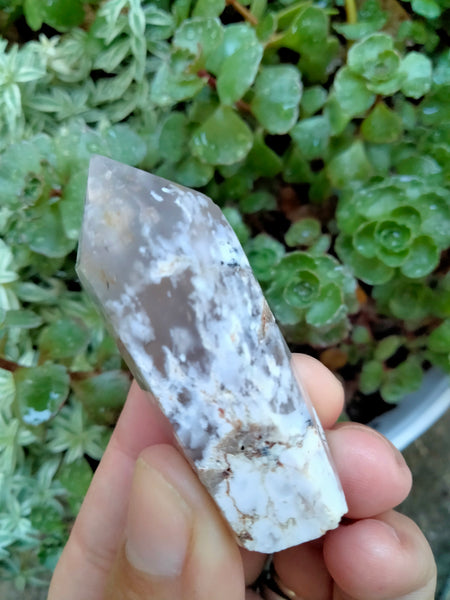 Dendrite infused White Laced Agate