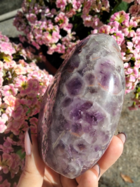 Amethyst Freeform with caves and Smokey Quartz druzy