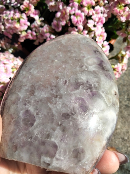 Amethyst Freeform with caves and Smokey Quartz druzy